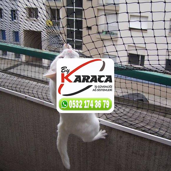 Tokat Reşadiye Kedi Koruma Filesi 0532 174 36 79